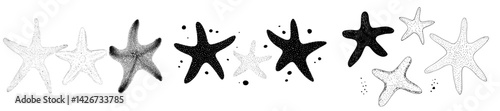 Modern starfish depicted in a hand-painted line sketch style as graphic tropical clip art isolated on a background for various design purposes