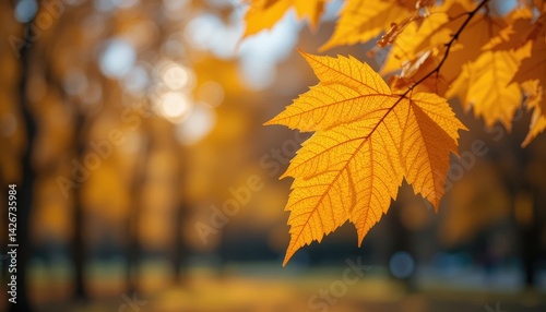 Autumn Leaf Close-up with Golden Color in Blurred Park Setting photo