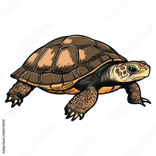 turtle, reptile, vector, transparent background
