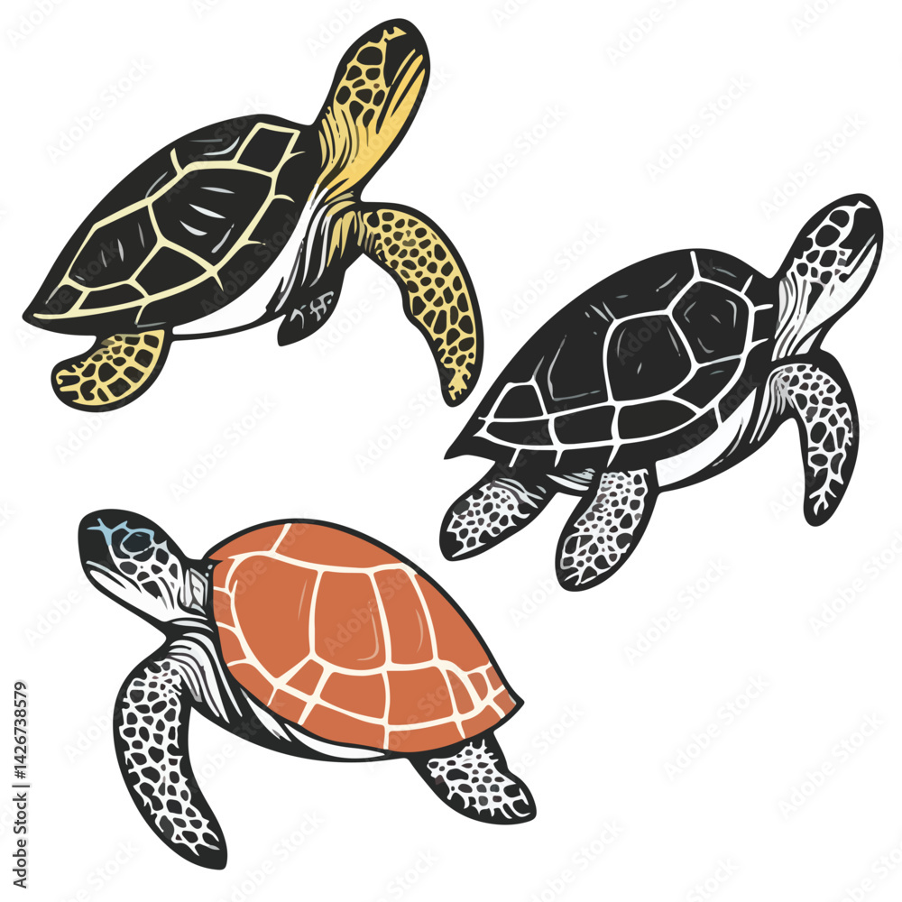 Fototapeta premium turtle, reptile, vector, transparent background, various