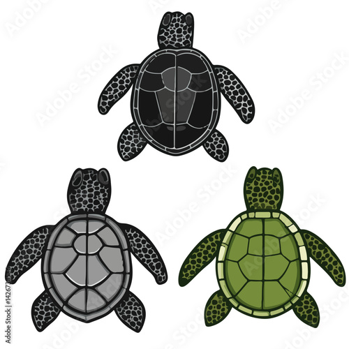 turtle, reptile, vector, transparent background, various
