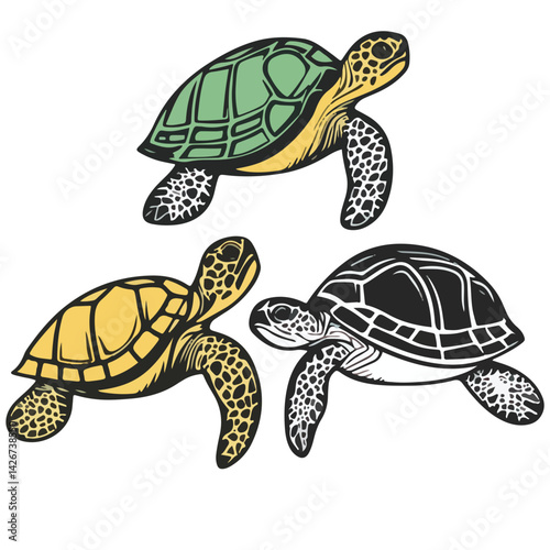 turtle, reptile, vector, transparent background, various