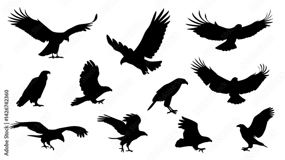 Obraz premium set of eagle silhouette vector on white background
