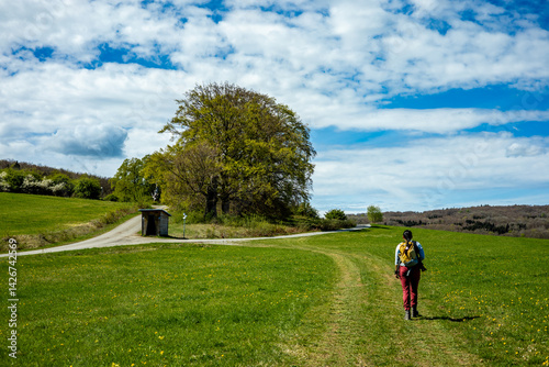 Frühlingshafter Spaziergang an einem herrlichen Sonnentag in der Thüringer Rhön bei Hümpfershausen - Thüringen - Deutschland 