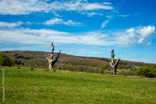 Obraz na płótnie Frühlingshafter Spaziergang an einem herrlichen Sonnentag in der Thüringer Rhön bei Hümpfershausen - Thüringen - Deutschland w salonie