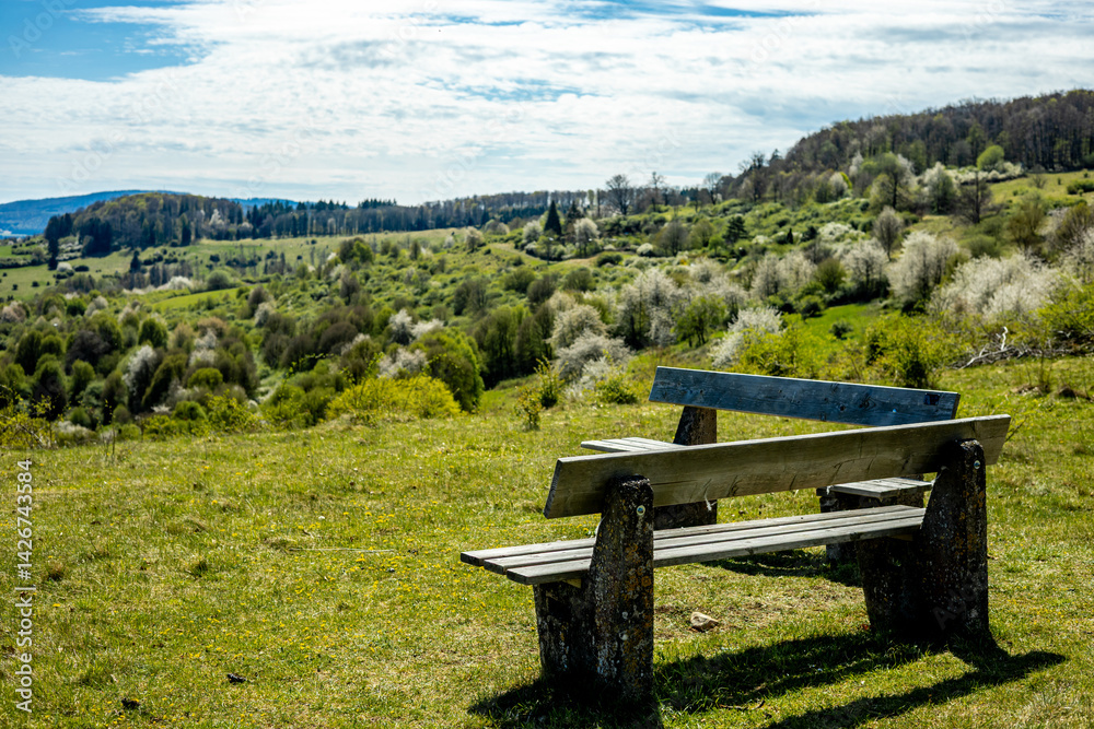 Frühlingshafter Spaziergang an einem herrlichen Sonnentag in der Thüringer Rhön bei Hümpfershausen - Thüringen - Deutschland