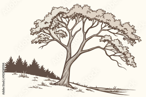 Illustration of solitary tree on hillside with evergreen forest background
