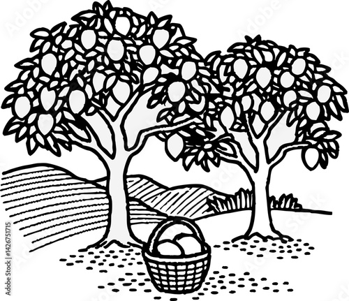 orchard scene with lemon trees and basket hand drawn black and white landscape illustration