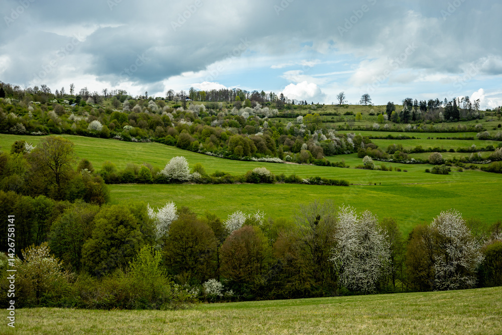 Frühlingshafter Spaziergang an einem herrlichen Sonnentag in der Thüringer Rhön bei Hümpfershausen - Thüringen - Deutschland