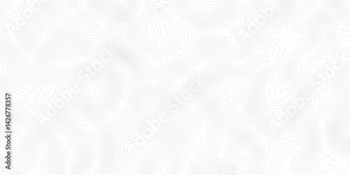 White topography topology vector white background fresh contour map texture. white seamless pattern Abstract background with a wave Topography and geography map grid abstract backdrop.
