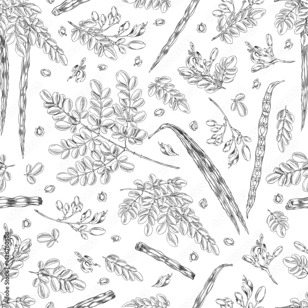 Obraz premium Moringa oleifera sketch vector seamless pattern, hand drawn engraved twig with leaves, bean pods and seeds, superfood