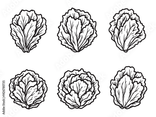 Lettuce line art elegant sketch for fresh food lovers style