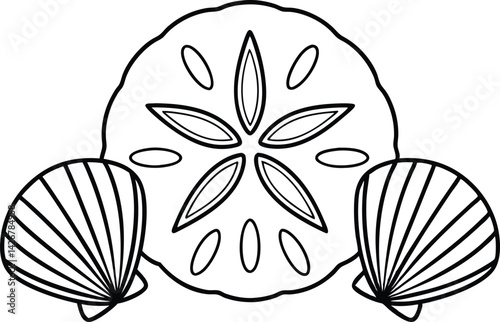 Outlined Sand Dollar with Two Seashells Isolated on White Background, Summer Theme