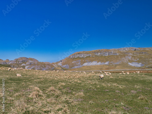 Limestone hills and dry stone walls under a deep blue sky at Attermire Scar, Settle, in the Yorkshire Dales National Park, England – a classic British upland landscape