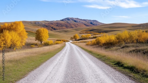 Autumnal country road winding through golden landscape