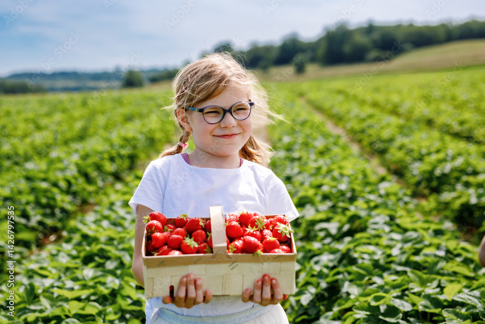 Little girl picking strawberries on a strawberry farm. Happy child with eyeglasses and ripe berries on pick a berry field. Family summer time activity