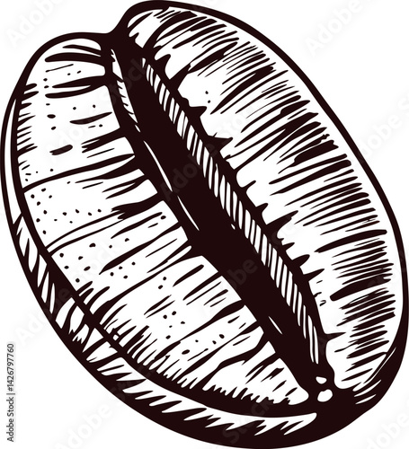 Detailed coffee bean drawing with intricate line work in black and white.