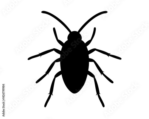Roach  isolated on white background