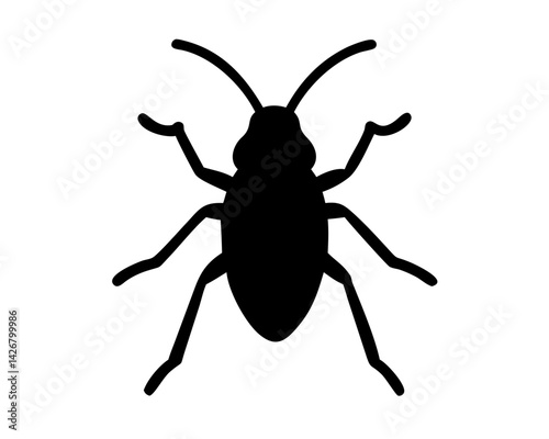Roach  isolated on white background