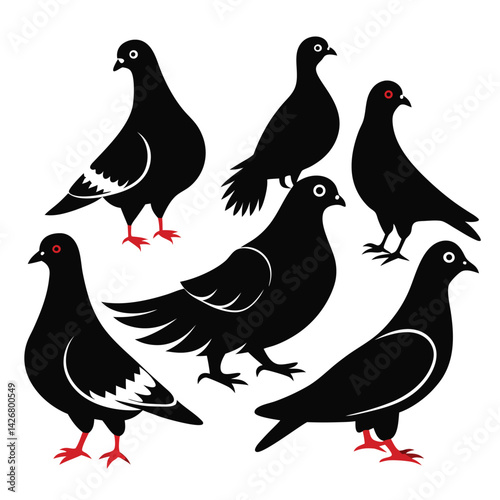 Pigeon birds set isolated shilhotee vector on white background