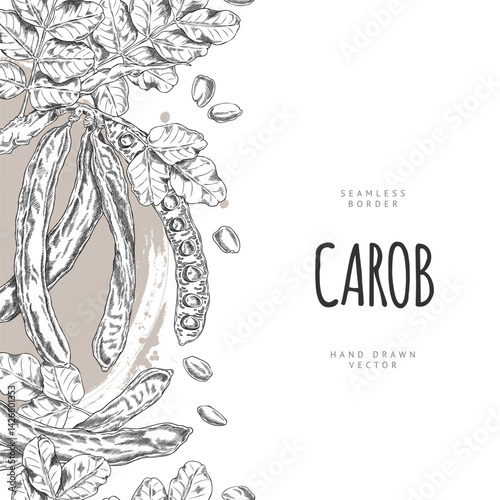 Carob tree bean pods on stem with leaves sketch vector vertical seamless border design, hand drawn engraved superfood