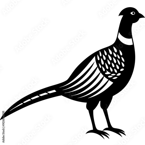 Animal Pheasant silhouette vector illustrator 