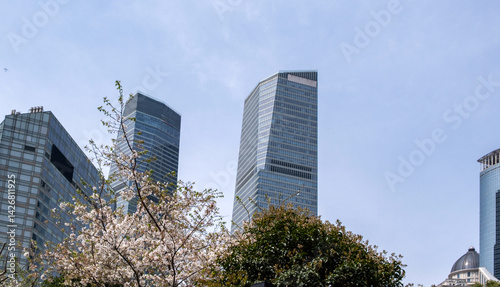 Obraz na płótnie High rise buildings and cherry blossoms. Shanghai. China, Modern architecture and nature in Spring w salonie