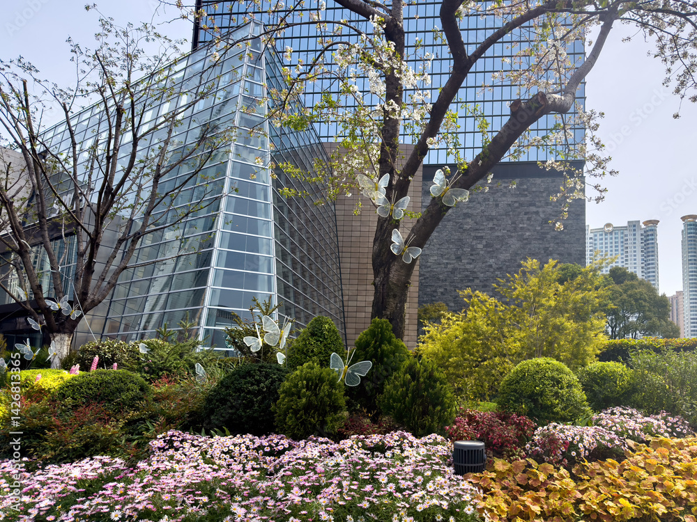 Modern architecture buildings and cherry blossoms. Shanghai. China, City street flowers in Spring