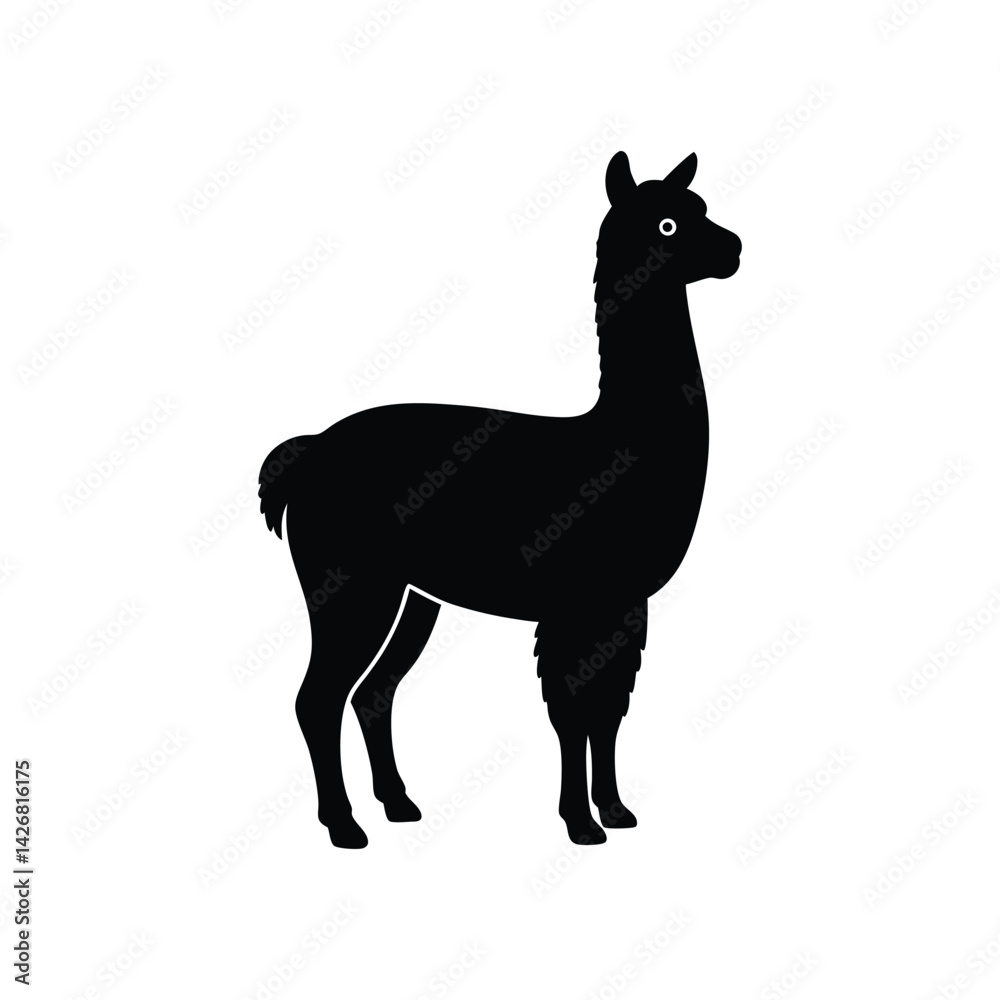 Fototapeta premium alpaca silhouette
