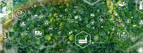 Fotografía Green forest, bird's eye view of green trees in the forest