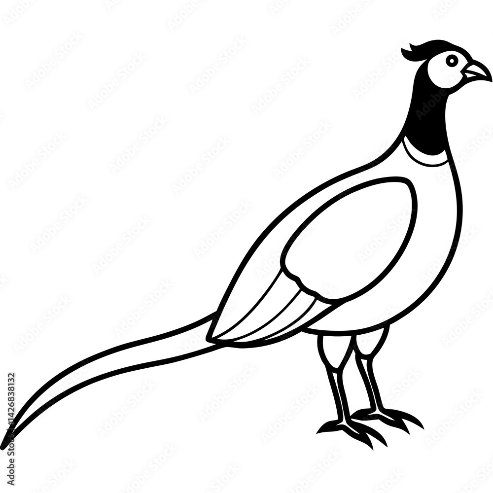 Obraz premium Animal Pheasant line art vector