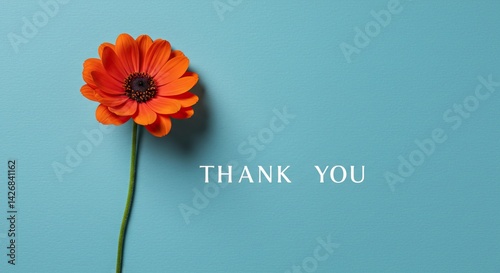 Orange gerbera flower on blue background with thank you message for appreciation cards