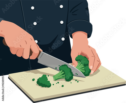 Chef hands cutting fresh green broccoli on chopping board kitchen vector illustration 