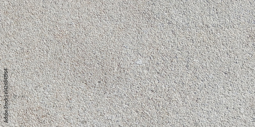 Wallpaper Mural Abstract dust grunge particle and dust grain texture concrete wall grunge on white background Vector. Torontodigital.ca