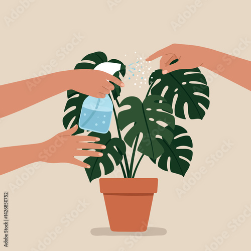 Hands Watering and Spraying Monstera Plant in Pot Indoor Gardening Illustration 