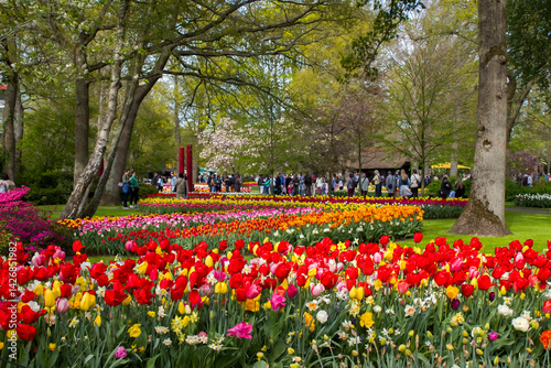 Obraz na płótnie spring flowers in Keuhenhof in the Netherlands w salonie