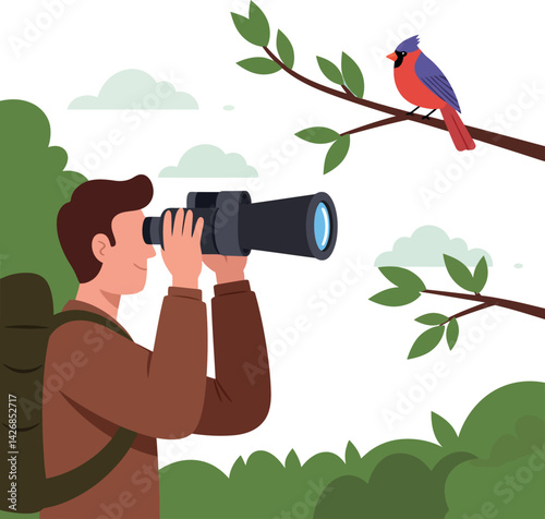 Birdwatcher observing red cardinal bird on branch in nature vector illustration 