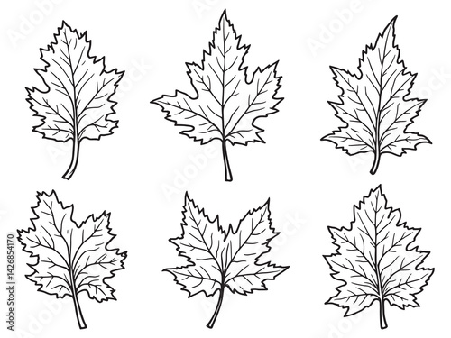 Poplar leaf line art elegant botanical drawing for modern decor