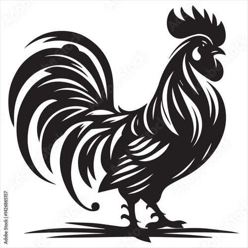 rooster isolated on white background
