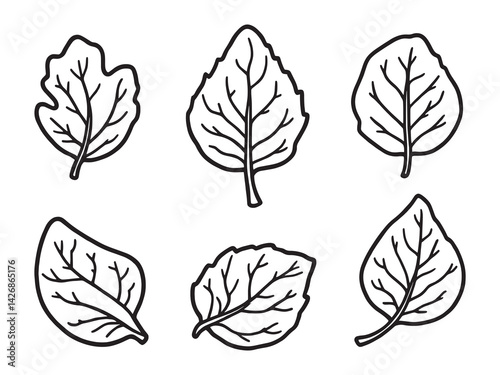 Sandalwood leaf line art botanical illustration detailed hand drawn design