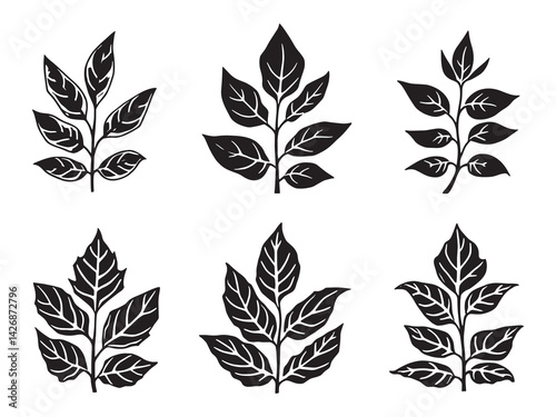 Tulsi leaf line art capturing sacred plant and its medicinal properties