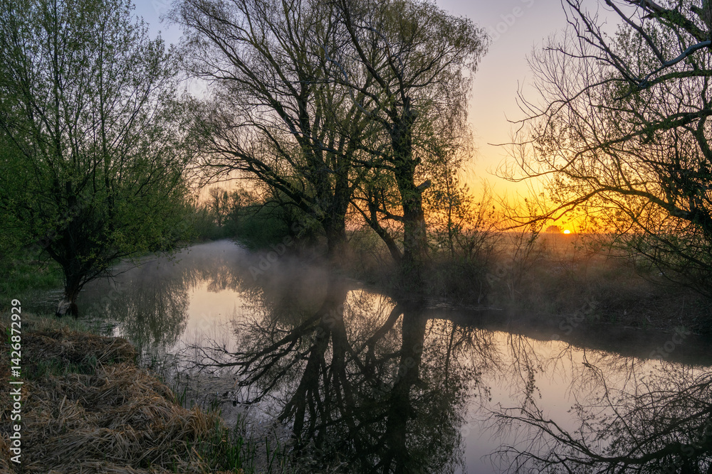 Fototapeta premium sunrise over the lake