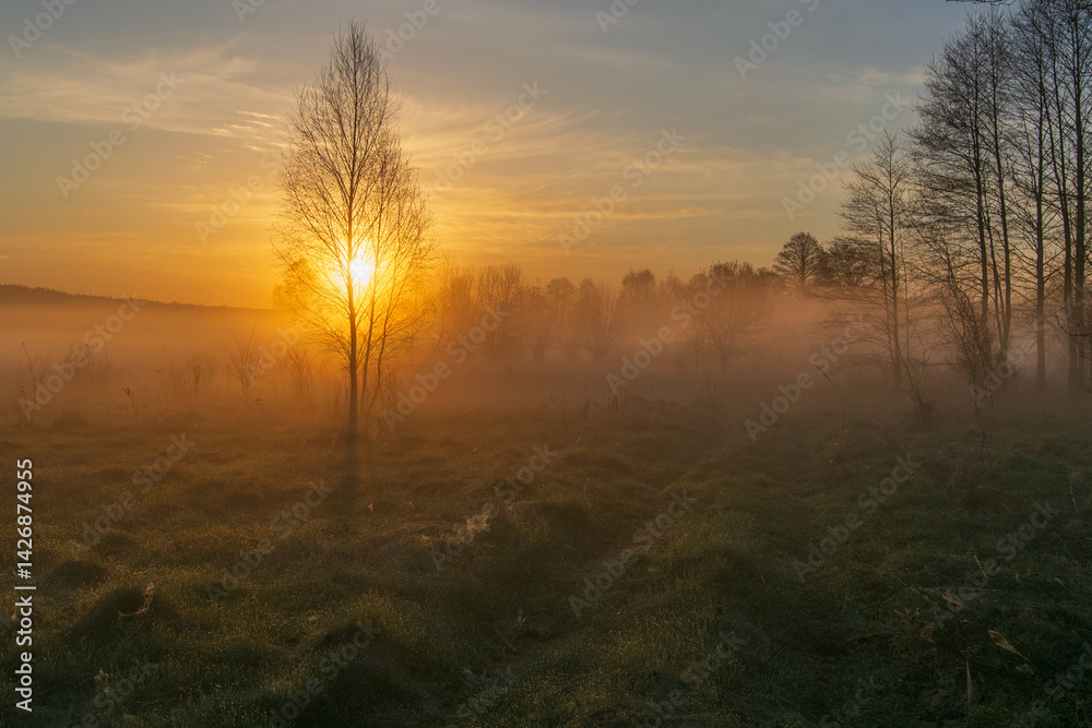 Obraz premium sunrise over the field