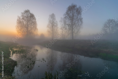 morning fog in the forest. the dawn of a lake. dawn in the forest. landscape