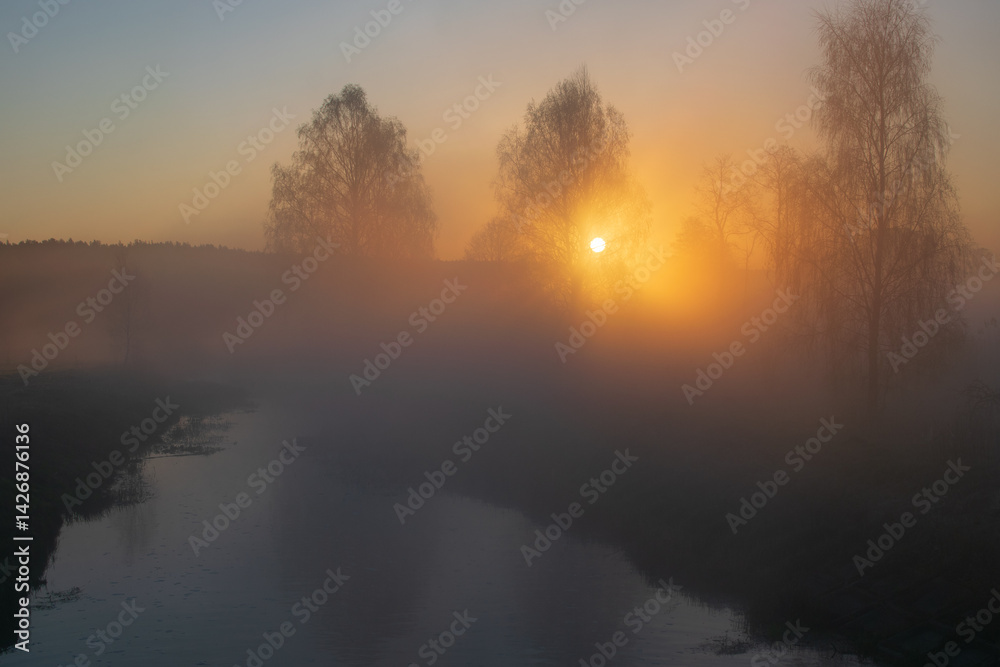 Fototapeta premium morning mist over the river in forest