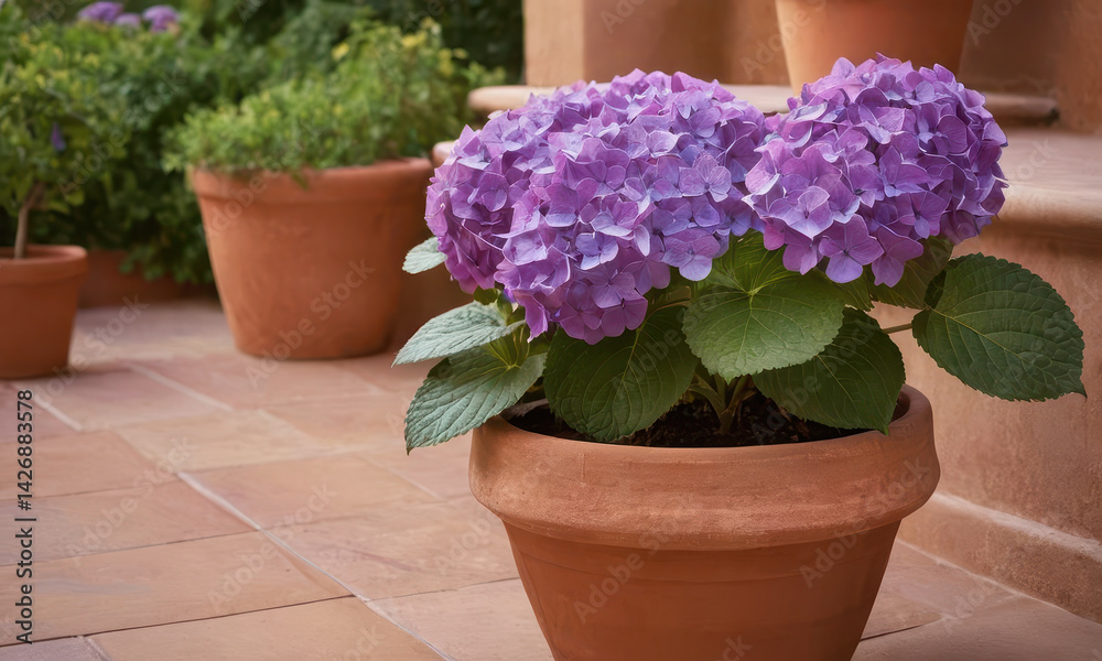A potted plant with vibrant purple flowers sitting on a outdoor patio