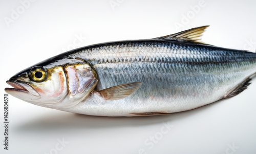Obraz na płótnie A close-up shot of a fish on a white surface, suitable for use in medical or scientific illustrations w salonie