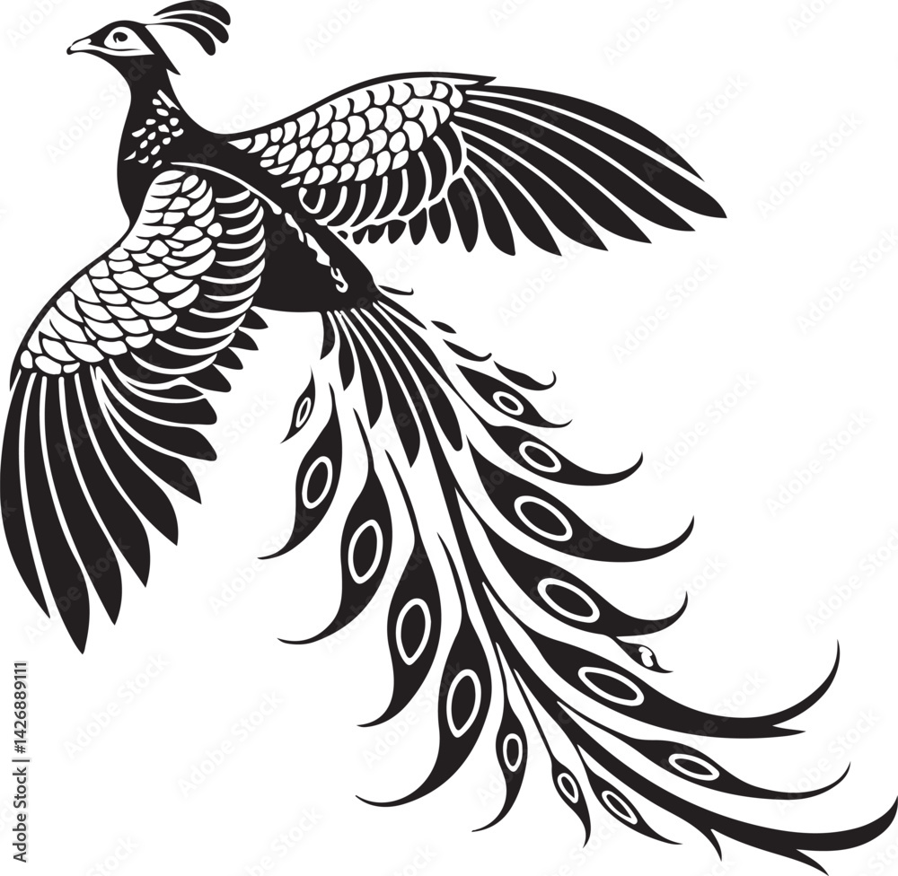 Fototapeta premium grey peacock pheasant silhouette vector
