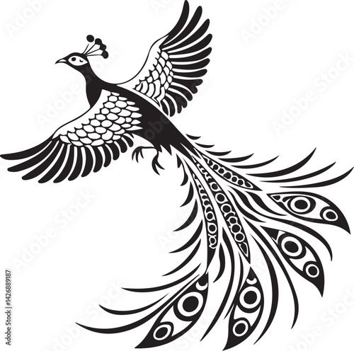 grey peacock pheasant silhouette vector