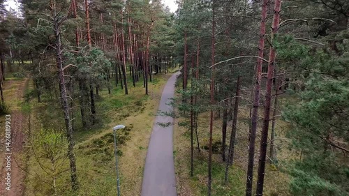 Latvian forest